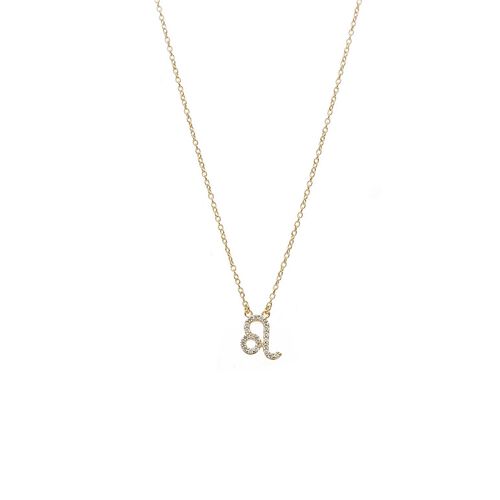 Silk & Steel Leo Necklace
